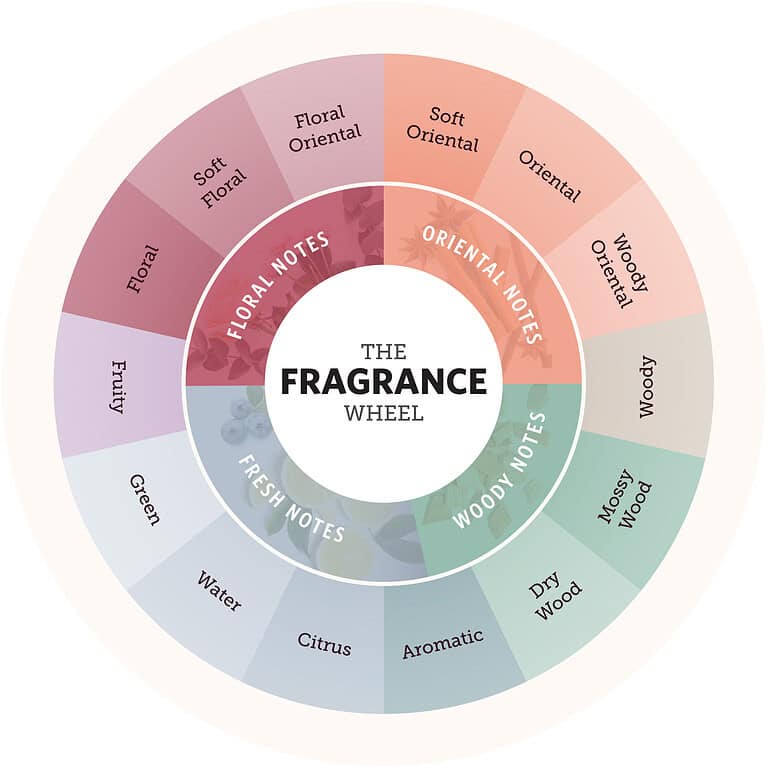สำหรับคนสร้างแบรนด์น้ำหอมควรรู้ว่าน้ำหอมมีกลิ่น 4 ประเภทหลัก คือโทน Floral Oriental/Amber Woody และ Fresh