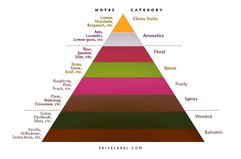 สำหรับคนสร้างแบรนด์น้ำหอมควรรู้ว่า Note น้ำหอมมี 3 อย่างคือ Top Middle และ Base